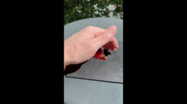 Uber-ambitious glass artist makes a miniature dinosaur out of minute pieces of soft glass