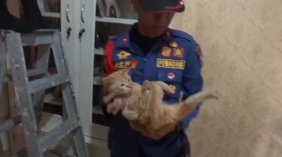 Firefighters use age-old trick to lure cat out of homeowner's roof