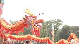 Barongsai... lion dance. the story of a dragon who wants to chase the sun