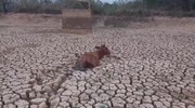 temp
