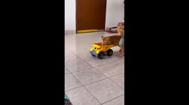 Watch This Adorable Cat Pushing a Toy Truck While Running with Toddler Harraz