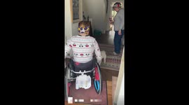 'She is my world!' - Woman with multiple medical conditions reunites with her loyal assistant dog