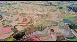 Winding Field of Peanuts Covered With Film in Nanning, China