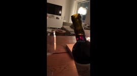 Bengal Cat Ruby's Romantic Candlelit Evening with Owner in Helsinki, Finland | Caught on Camera!