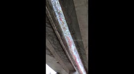 Flowers grows wild in limitless on a long viaduct in China