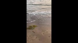 Rolling waves on the Scottish beach