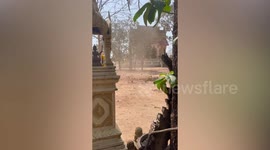 Dust devil sweeps away dried leaves outside Buddhist temple