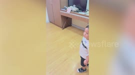 Toddler overcome with emotion when he meets newborn little brother for first time