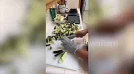 Emergency prepper grows 900lbs of fruit and veg a year with enough in the cupboard to last a YEAR