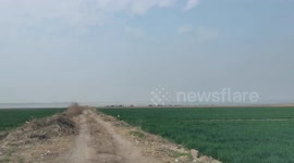 Photographers Capture Flamingos Playing And Flying Around The Salt Lake in Yuncheng, China