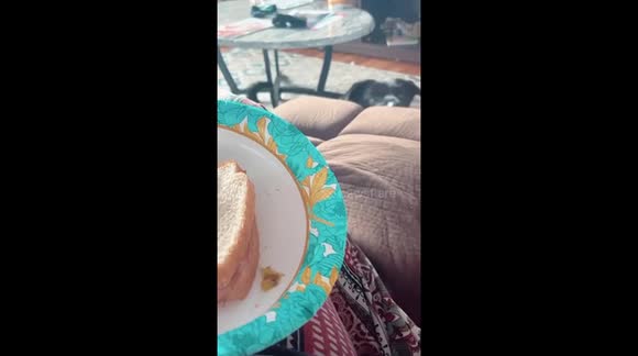 Dog peeping up to get a better view of the sand which