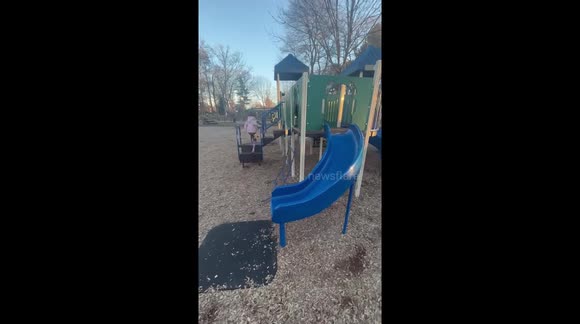Beeper the dog loves to go down the slide at the playground with his little human friends!