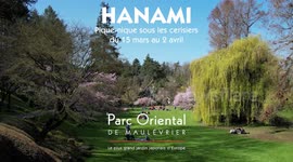 Hanami, the cherry blossom festival, is currently taking place at Parc Oriental de Maulévrier.