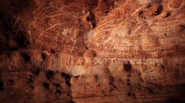 Hundreds of cave drawings dating back to Bronze Age found in cave in Spain