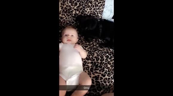 Dog adorably licks baby's head, then has cute puppy eyes