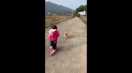Canine drags a scooter where stands its little owner who veers off and falls into a field in southern China