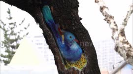 Tree Trunk Painted With Tattoos In Yichang, China