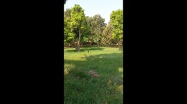 My Visit To Hyderabad Sindh Pakistan Village Near The Tomb Of Hosh Mohammad