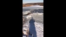 Dramatic Rescue Caught on Camera in Moscow's Losiny Ostrov Park