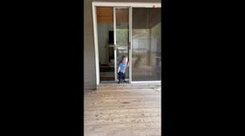 'He didn't stop fast enough' - Little man on a mission leads himself into a tumbling trap