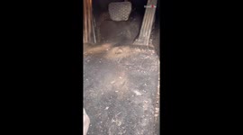 Cleaning Pro goes into INSANE detail to restore glory of a grubby car *SATISFYING*