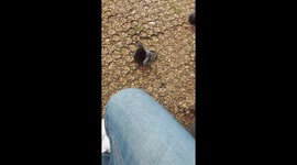 Feeding birds at the park