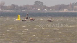 Tide timelapse reveals Thames shipwreck off Kent, UK