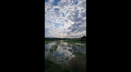 Beautiful reflection from rice field in Philippines