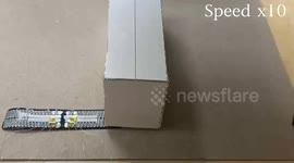 Creepy robo-caterpillar that can sneak under doors has been developed