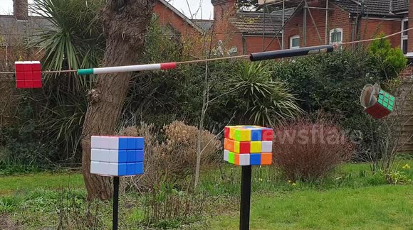 Puzzle guru builds 'Ninja Warrior' style course for squirrels using Rubik's Cubes