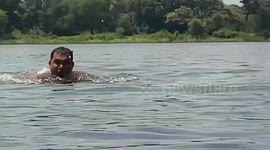 Young people are bathing and swimming in the dam of the village Indian youth swimming in a beautiful natural dam