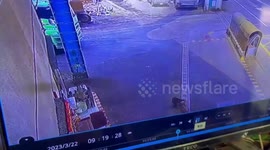 Baboon sparks chaos rampaging through city in Taiwan