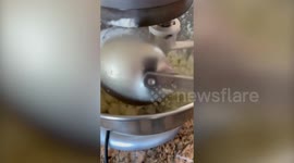 US chef pokes fun at British classics by turning them INSIDE OUT - cooking up 'Mangers & Bash,' 'Chish & Fips' amongst others