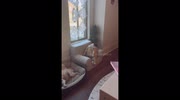 temp