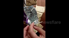 Chinese woman shocked to find black insect eggs in sanitary pads