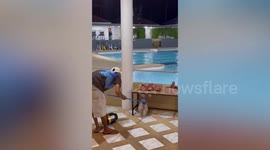 Wild cobra caught next to gym swimming pool in Thailand