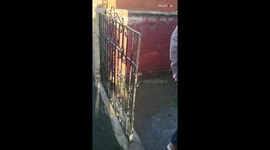 'That's truly heartwarming!' - Struggling veteran with PTSD meets mother after 2 years