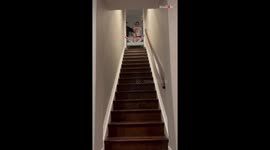 'The thrill never ends!' - Stair surfing with couch cushions *fun with cousins*