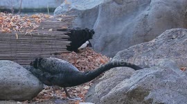 The best tourist destinations