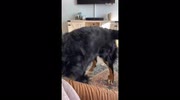 temp