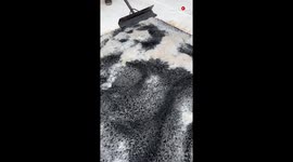 Feast your eyes with the SATISFYING scraping of a black rug with a wiper