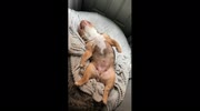 temp