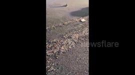 US: Tornadoes Cause Significant Damage In Arkansas, At Least 21 Dead Across Midwest, South