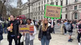 Animal rights activists call on Rishi Sunak to end cages for hens