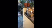 temp