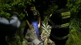 Evacuating monkeys into ditches after being hit by an electric cable