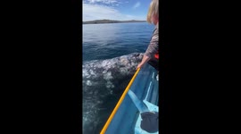 Whale watching that was way too close. Once in a lifetime experience in Mag Bay, Baja Mexico