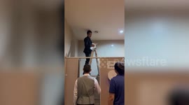 Stray cat stuck in ceiling of nightclub rescued through hole in lighting fixture