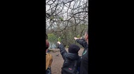Watch the wild parakeets in London's St James's park eating out of people's hands!