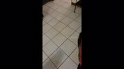 temp